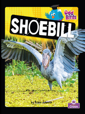 cover image of Shoebill